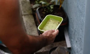 Pessoa segurando um pote verde com água suja